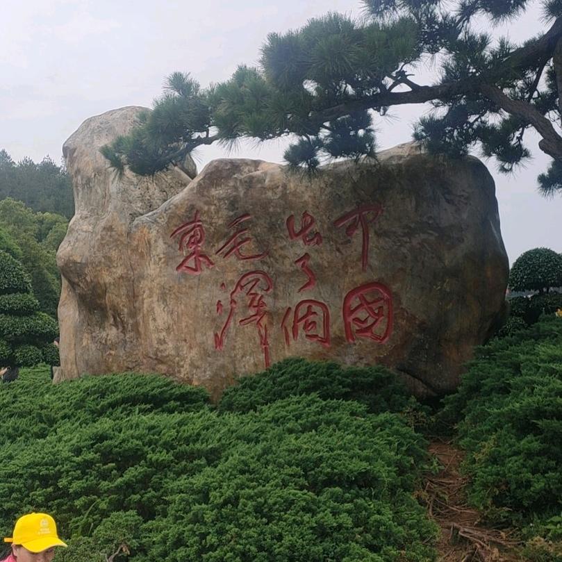 老顽童。