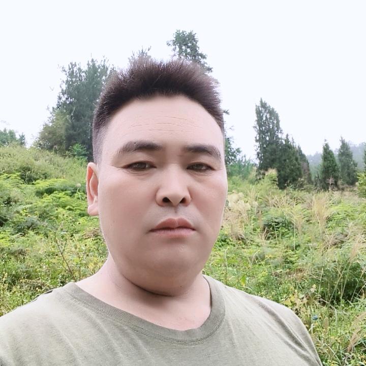 飞龙