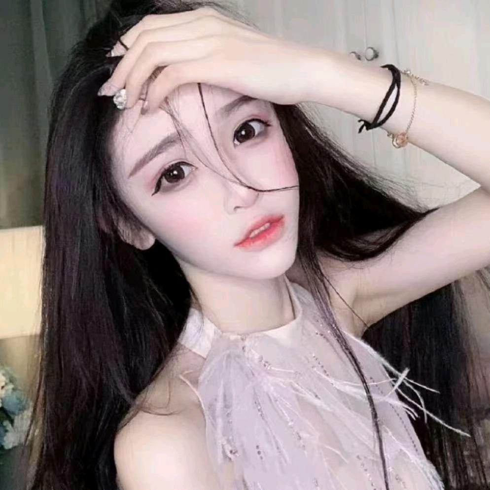 丁丁猫