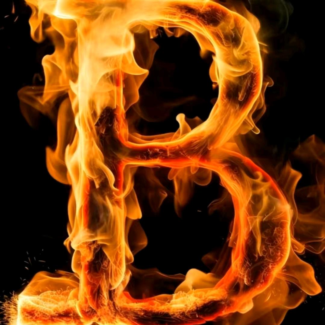 🦂🦂勇敢的心🦂🦂