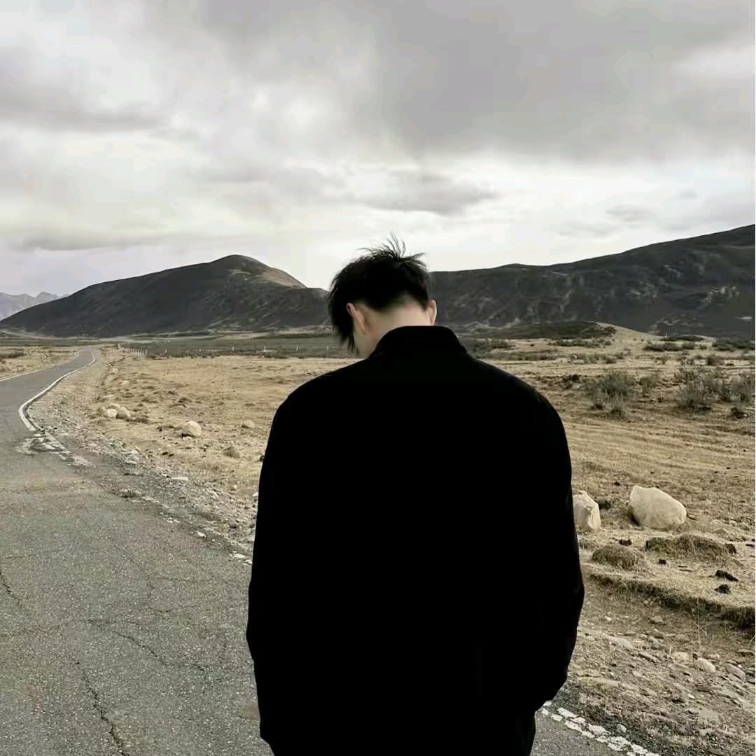 H,,