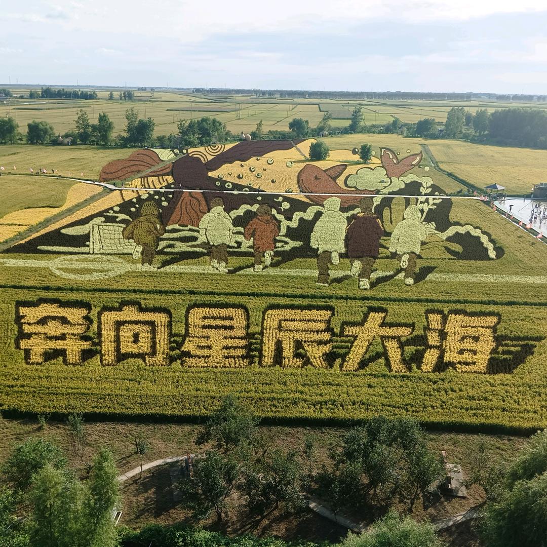 嘎嘎倔