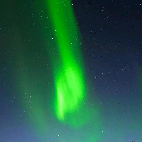 回🍭忆（卷土重来）