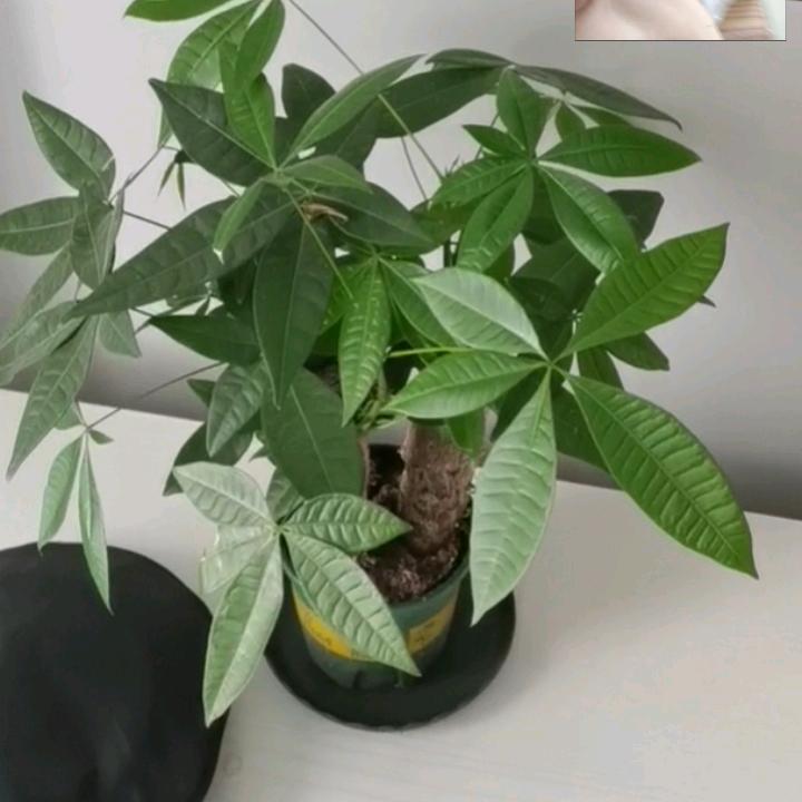 🦹¹ᶟ₁₄吕不停刘꧔ꦿ᭄💞