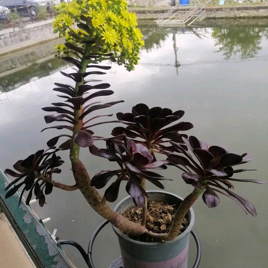 一路上有你