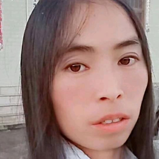 贵州红梅