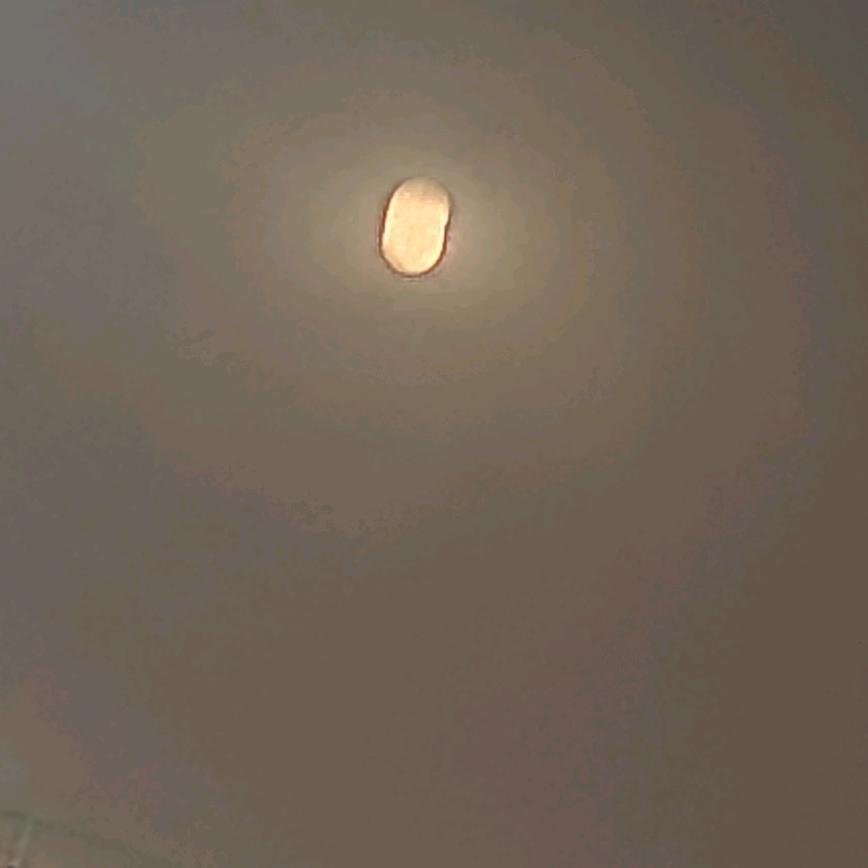 羽