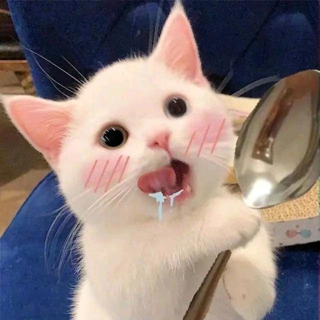 阿斗