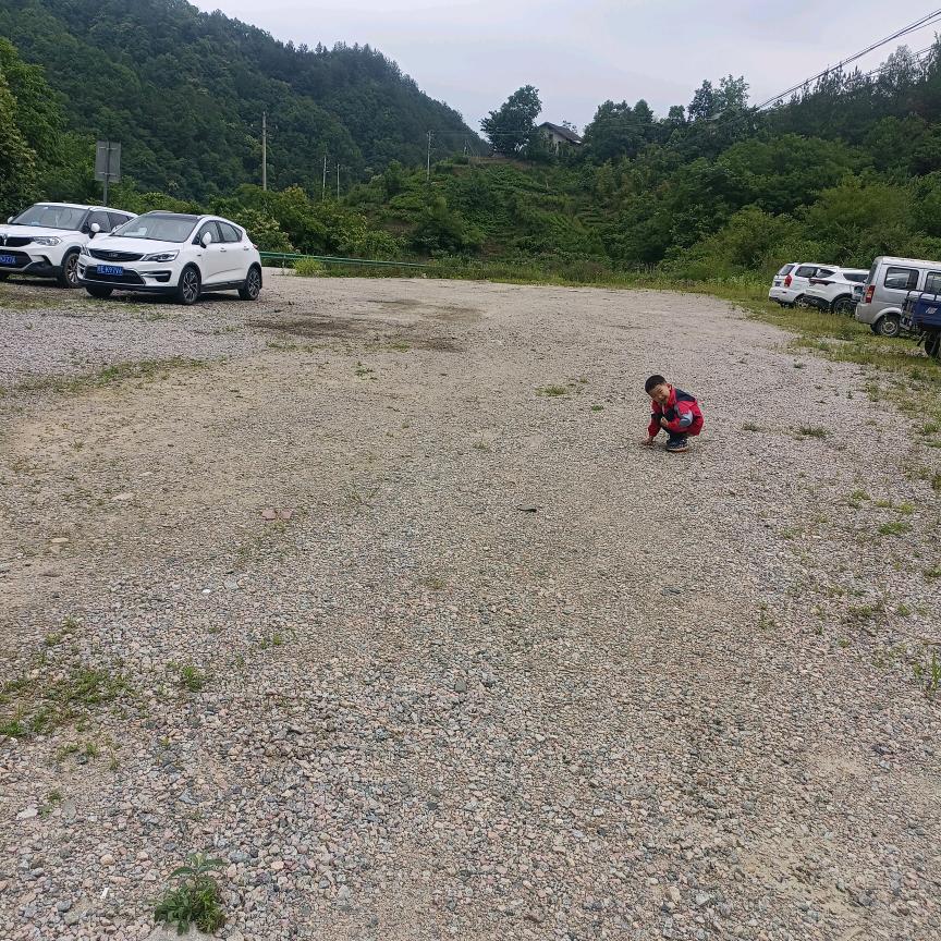 花开花洛