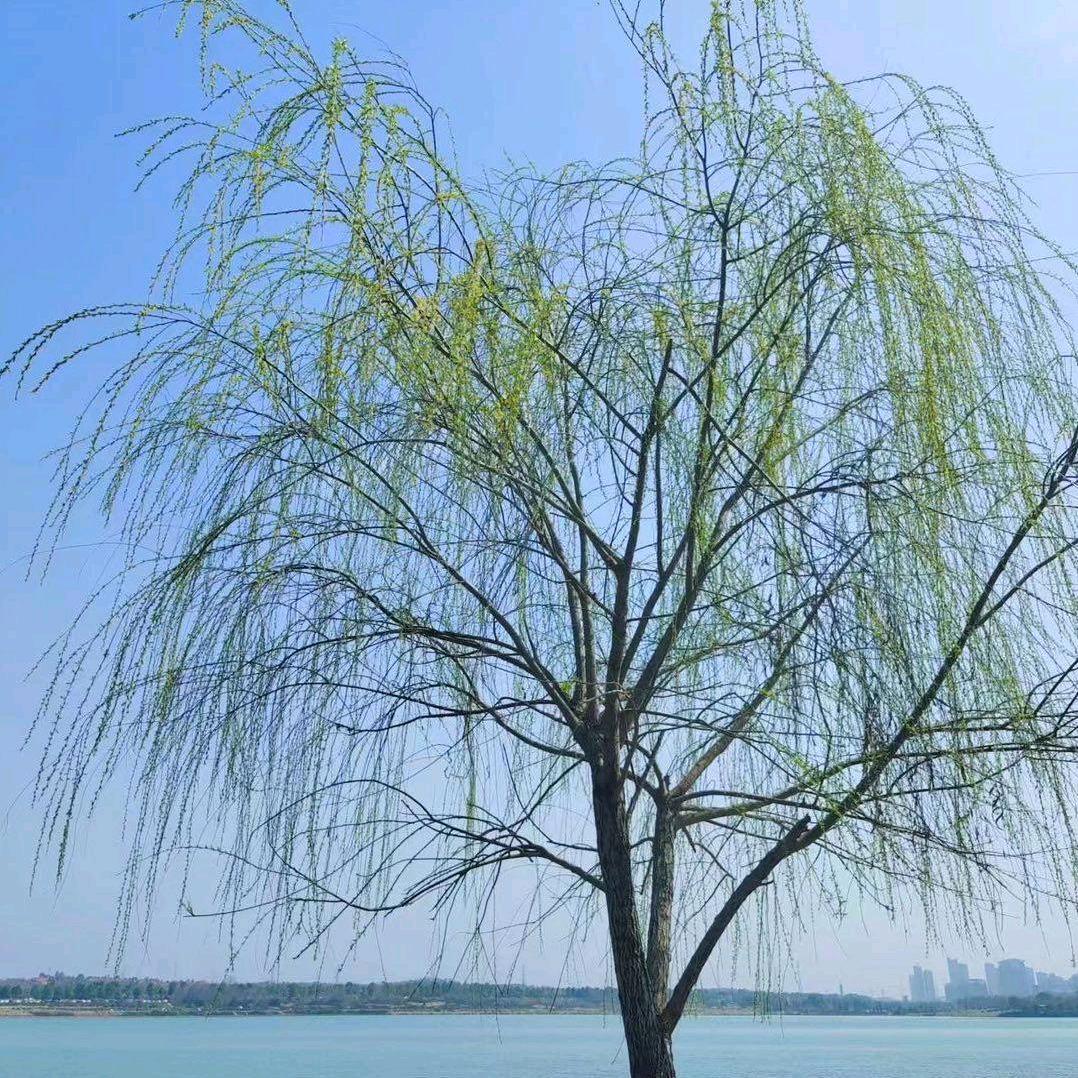 回收马达，专业拆解马达水泵