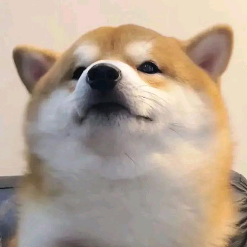 正壹品