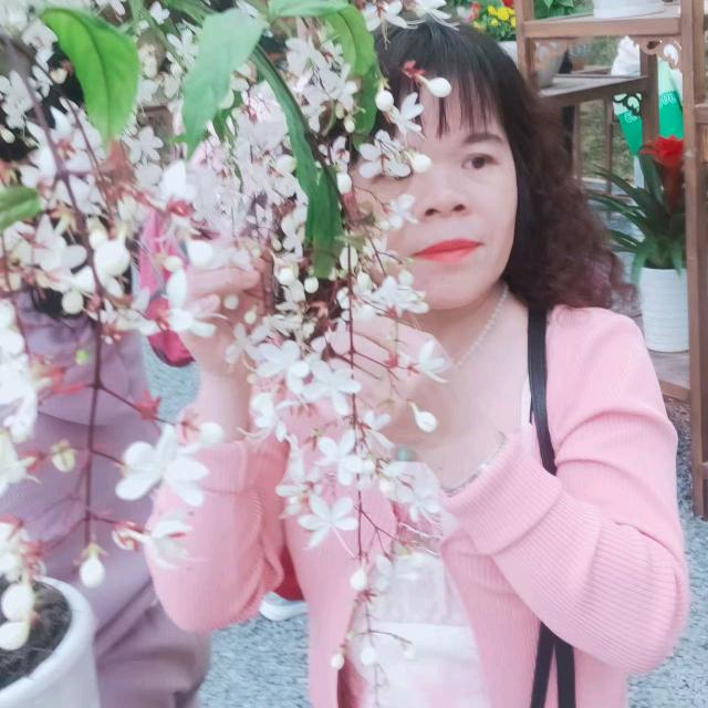 梁山美女