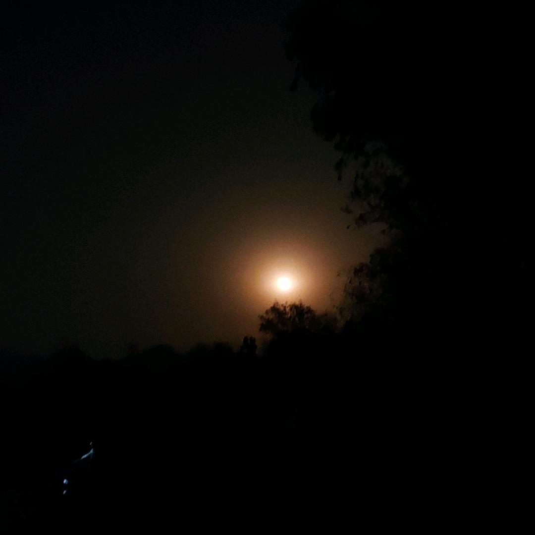 鲤小鲤《海夕》