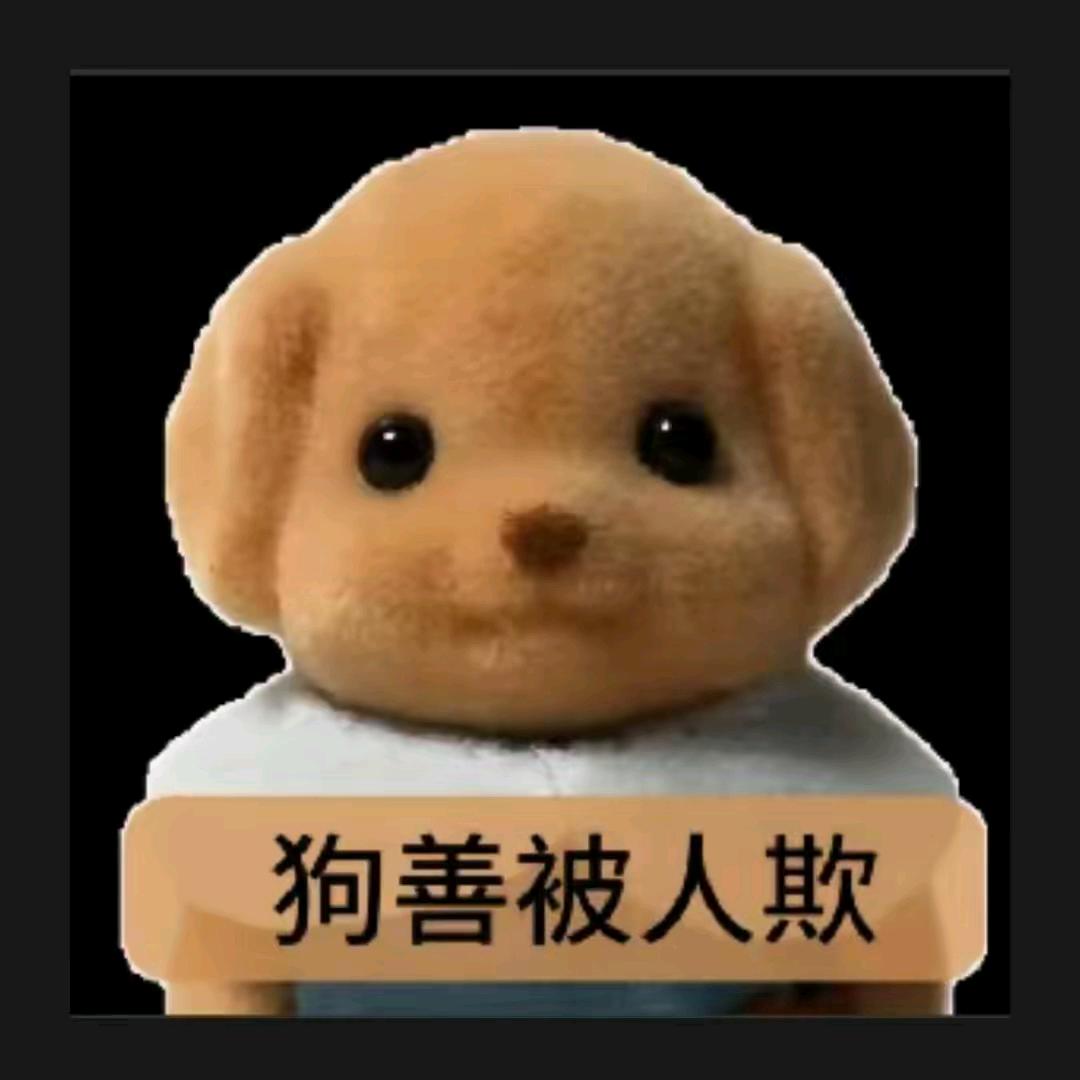 看不惯我就去死