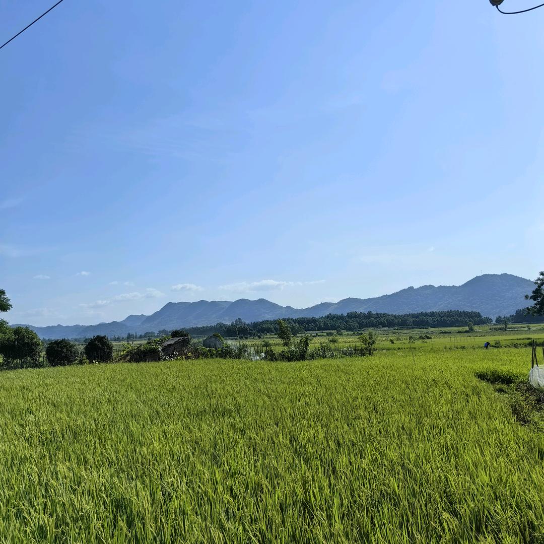 新新优选
