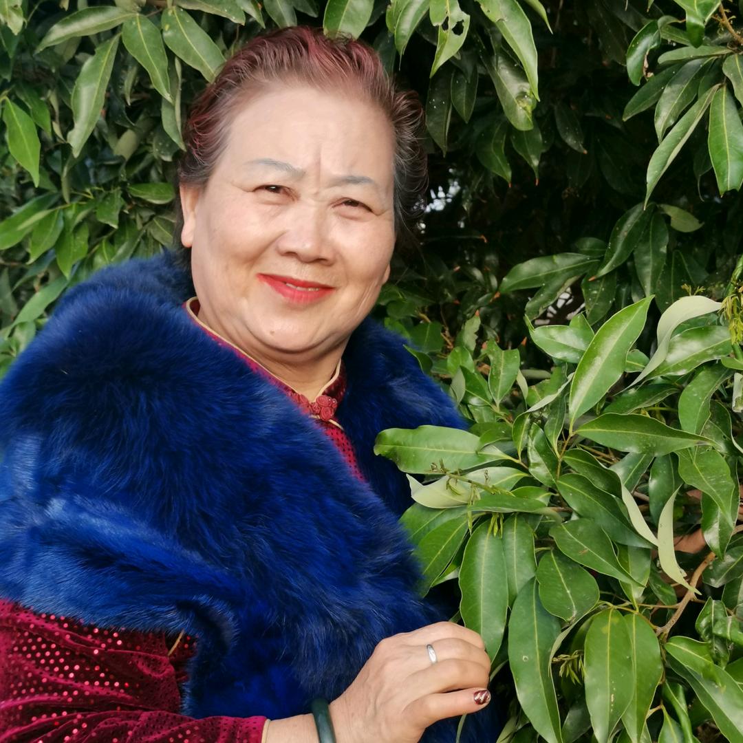 美丽外婆