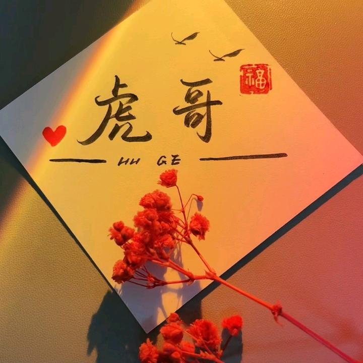 虎哥🌅