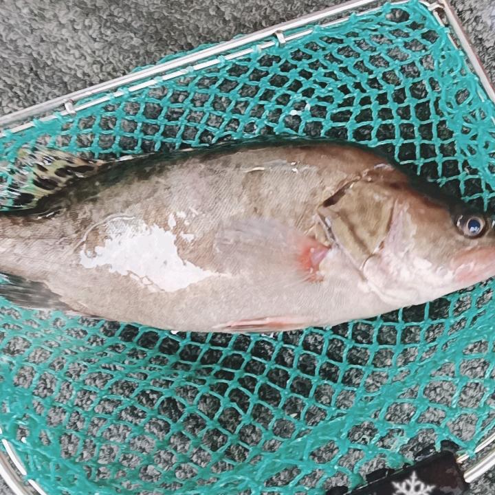 萧山水产
