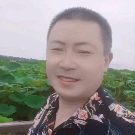 霍邱大杨