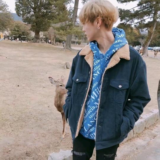 ˶ᵒ ᵕ ˂˶  ້໌