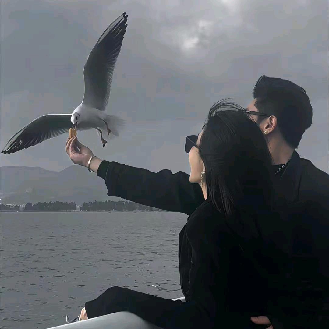 甘孜__🦋__绒布