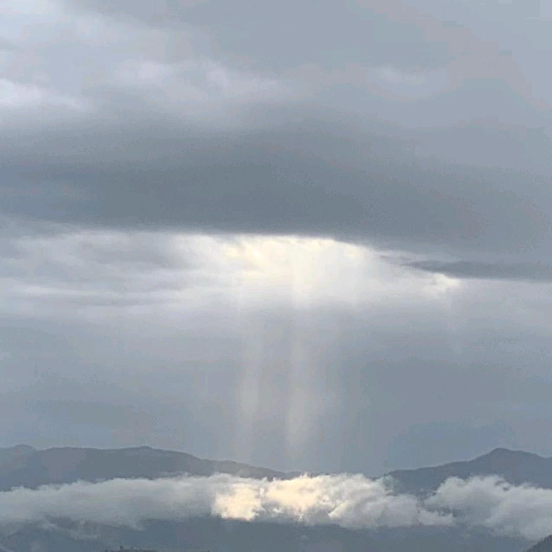 🌈青青吾鑫🌈