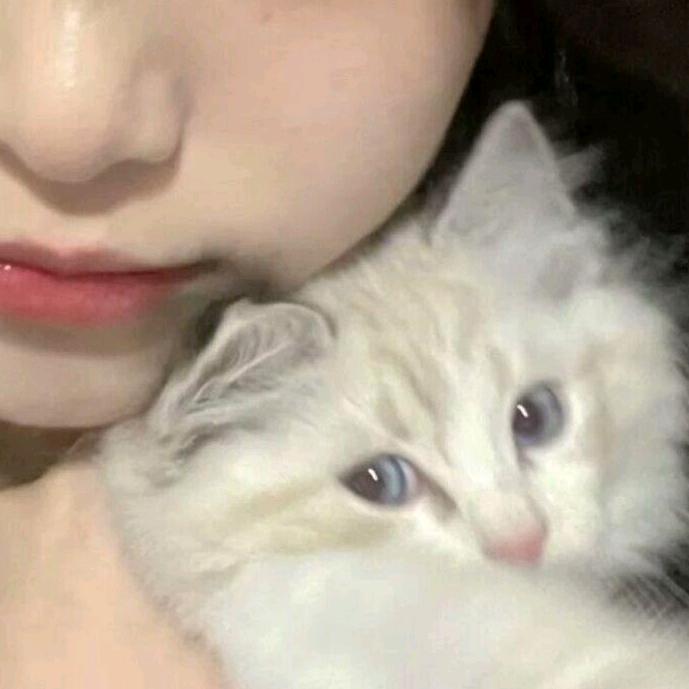 妍.
