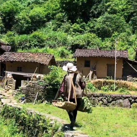 心宽似海可增寿，德高如山能延年。