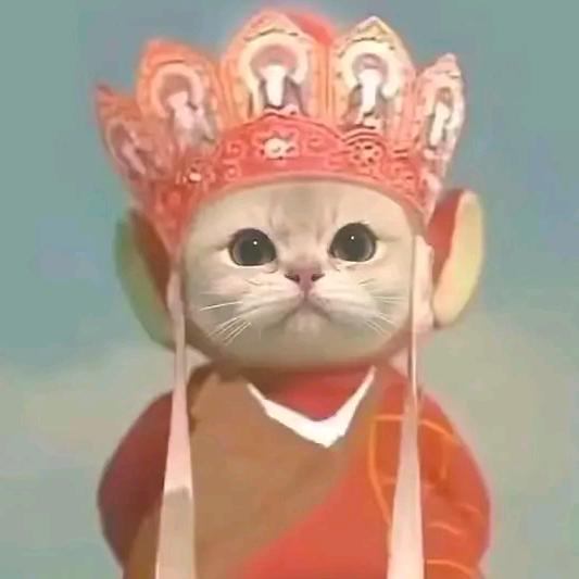 小小橘