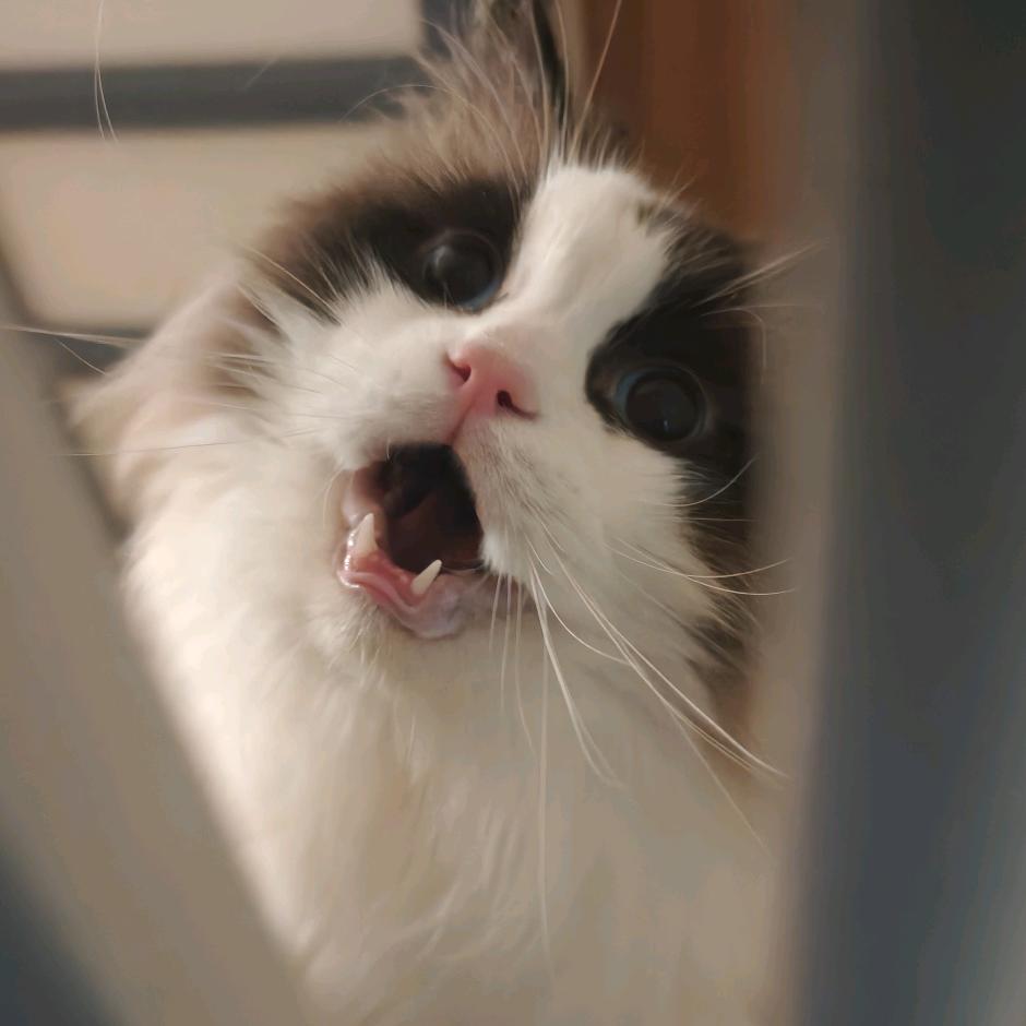 许纠结