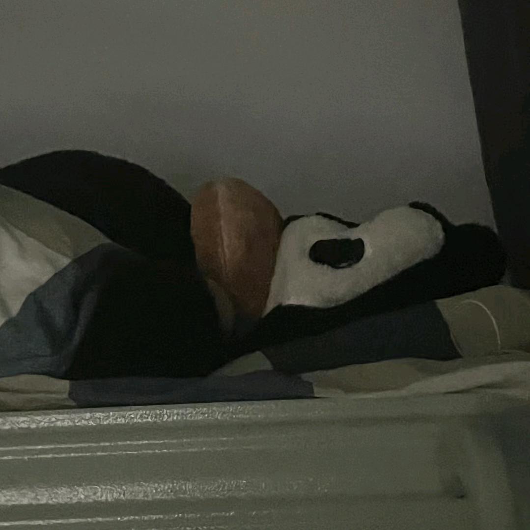 假如我变成爱吃傻鱼的鲨鱼你还会爱我吗嗯？