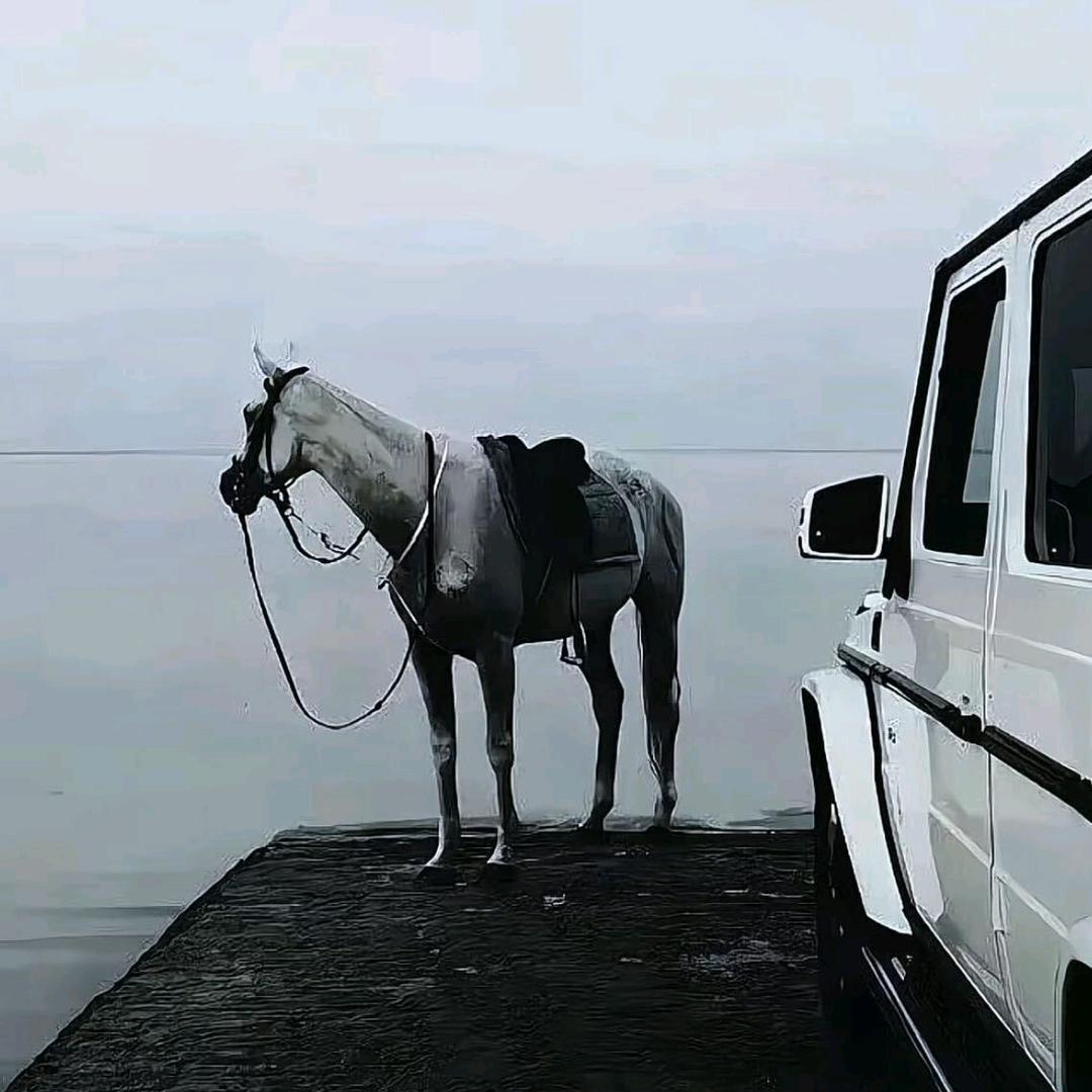 㞮孞