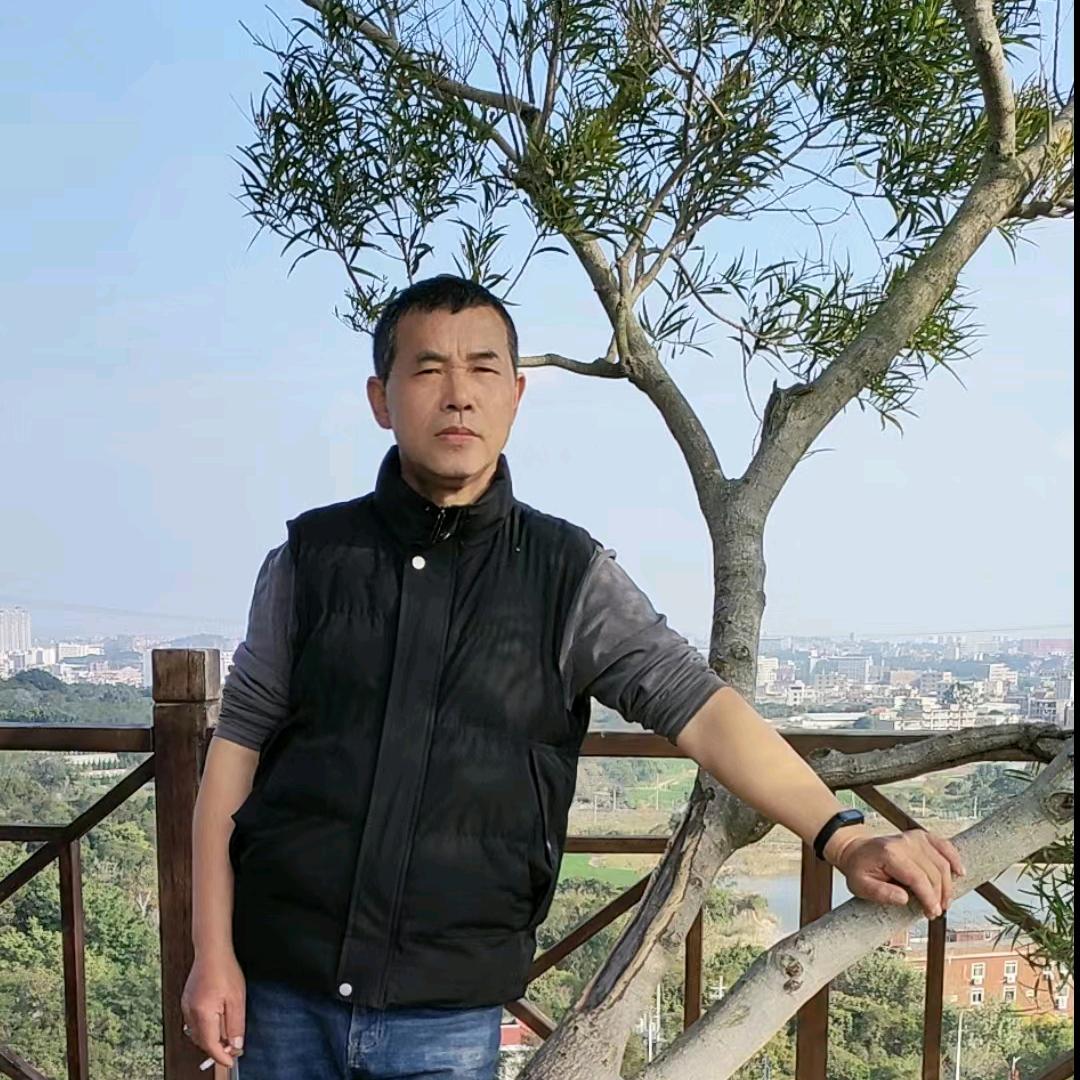 龙行天下