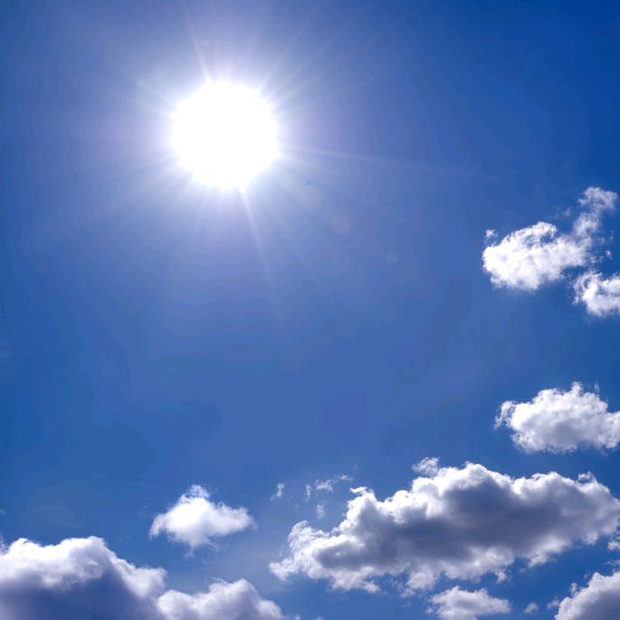 云南大理巍山县🌳晓东.又叫云南晓东