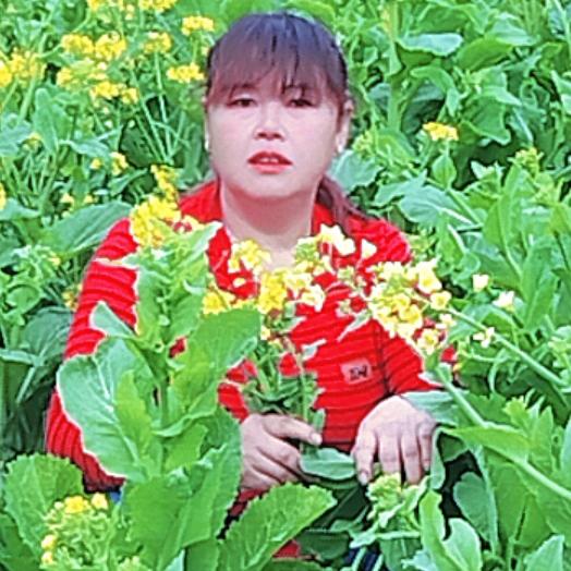 说不完的苦😭