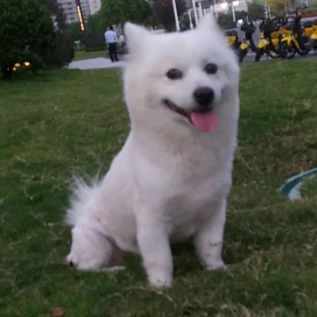 用户黎明