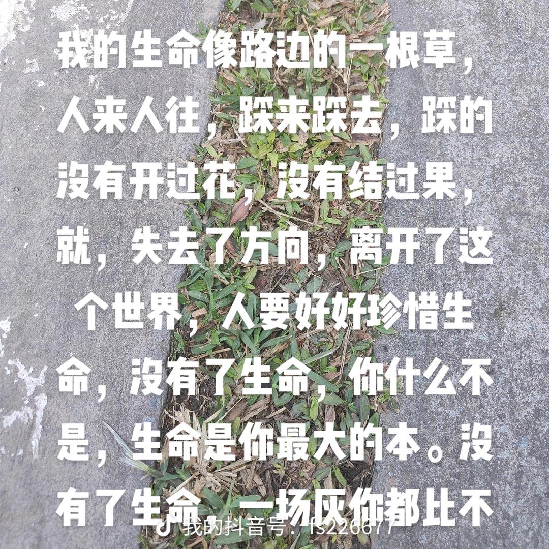 别碰我，我是一个重感情的女人