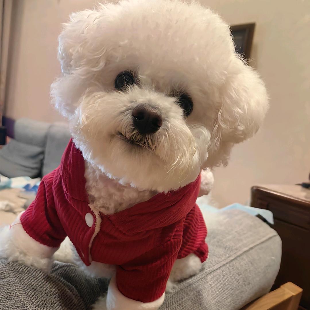 @💤玛卡巴卡