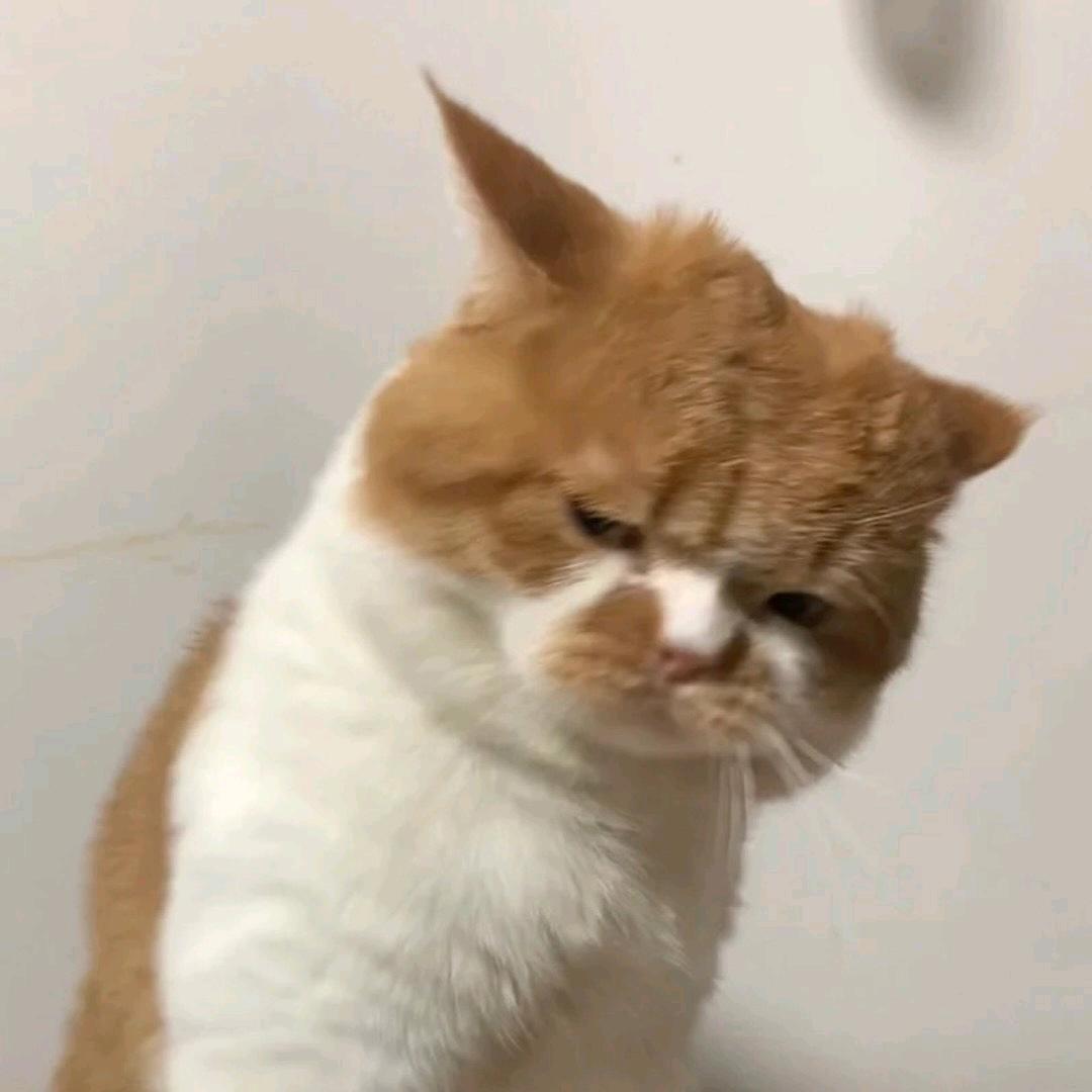 时迁