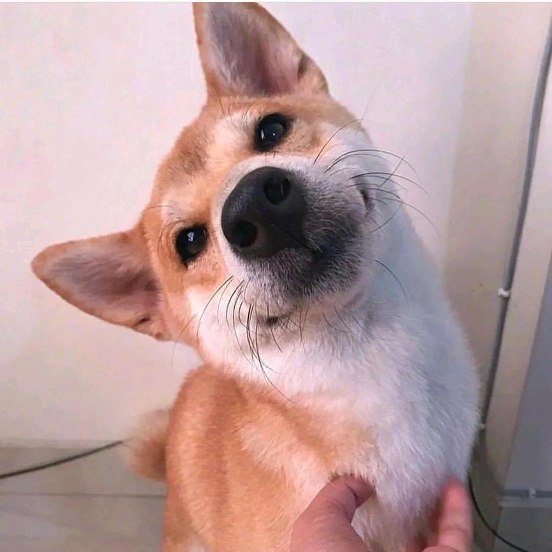 蜗牛安家
