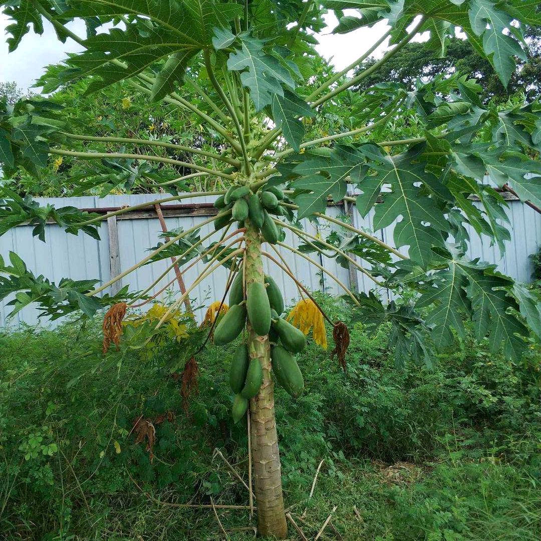 生活充满阳光！