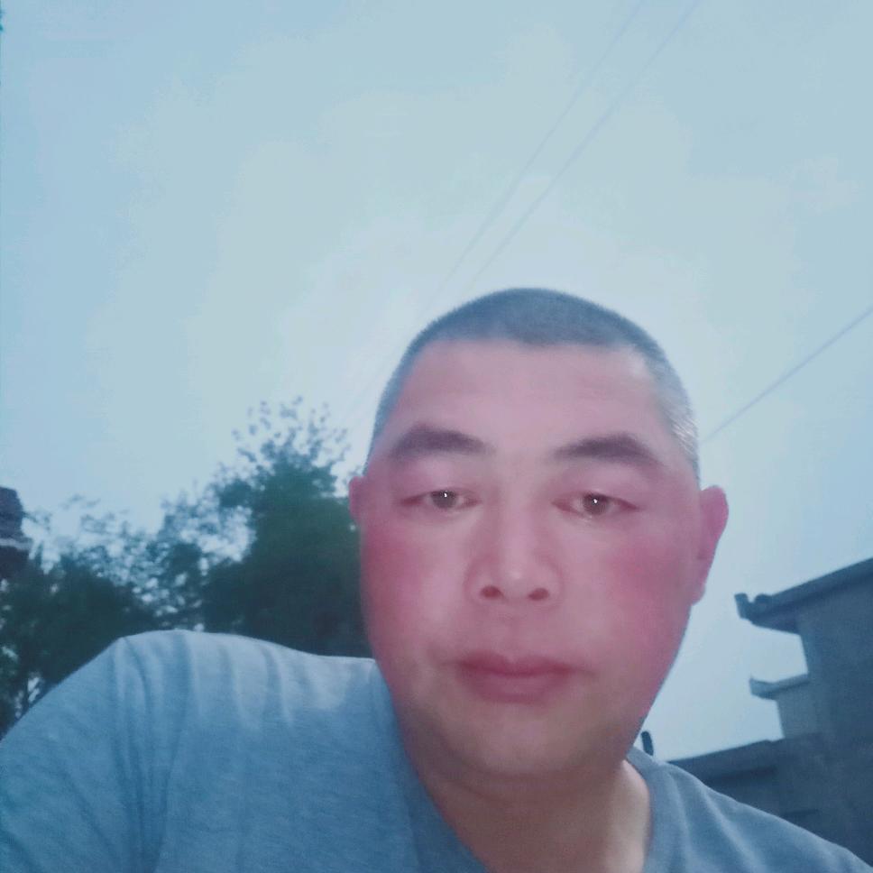 石家