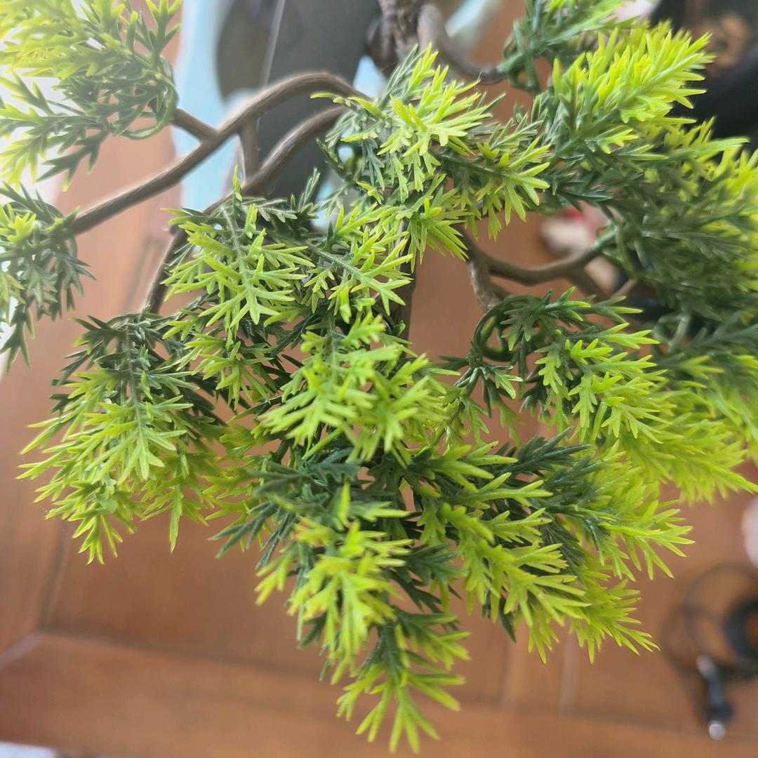 动保大表哥，（众望商贸）