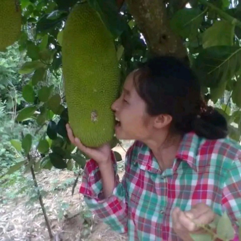 承诺不是随便说