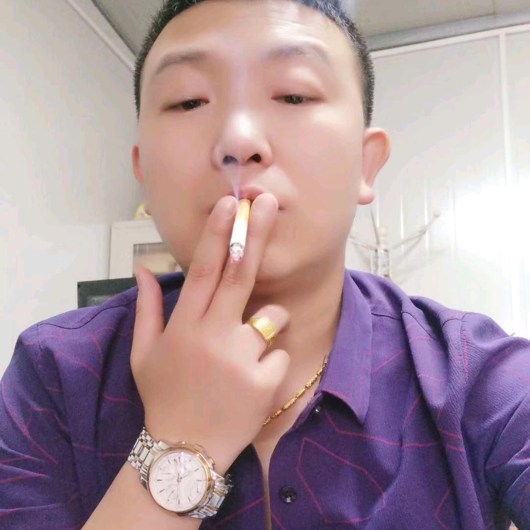 东南燕飞
