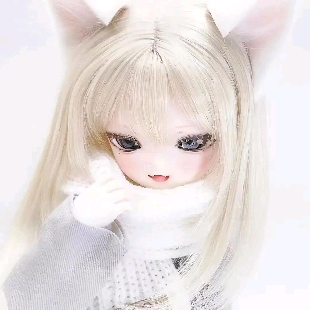 小猫吐司