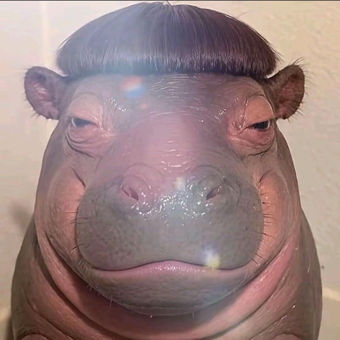 南宫问雅，摸谁谁傻