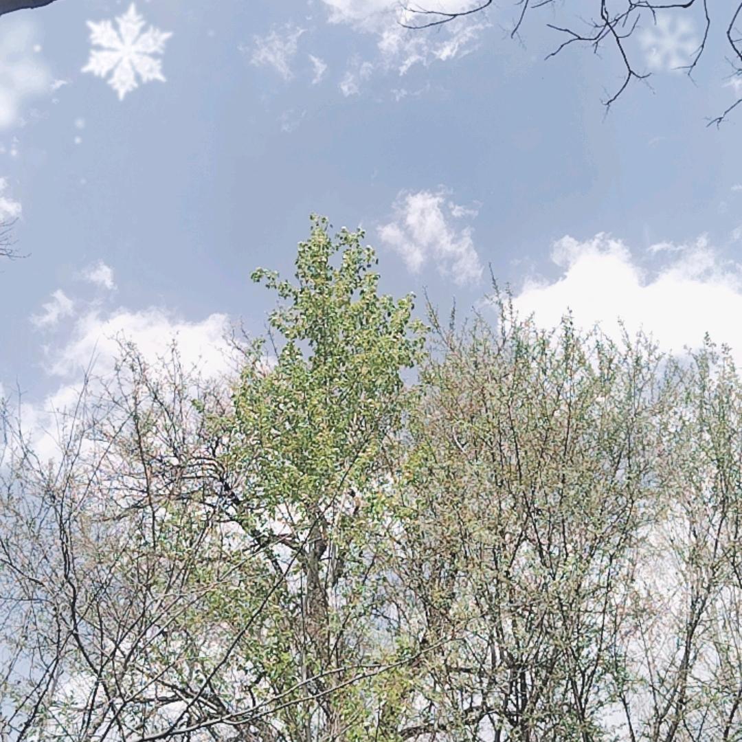 凤💃调雨顺🧒