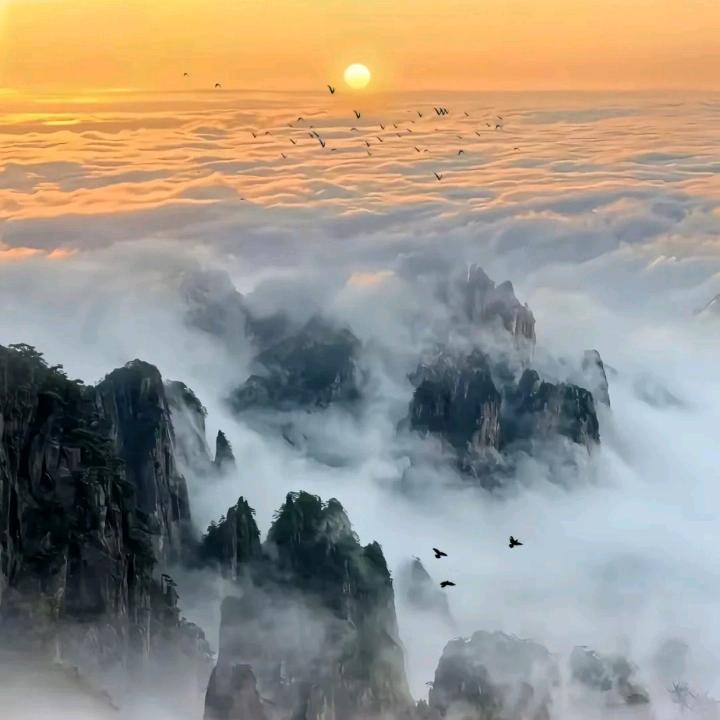 青彡