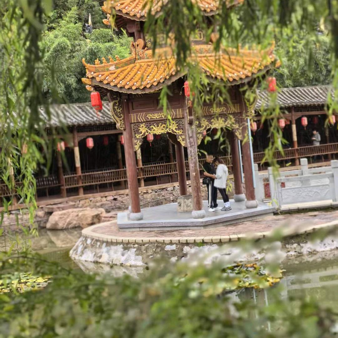 富富的金